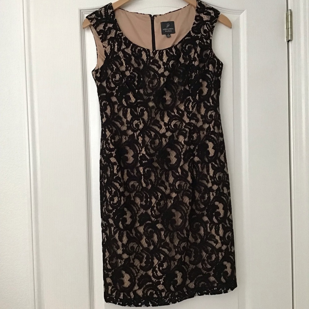 (Like New) Adrianna Papell Cap Sleeve Lace Sheath Dress